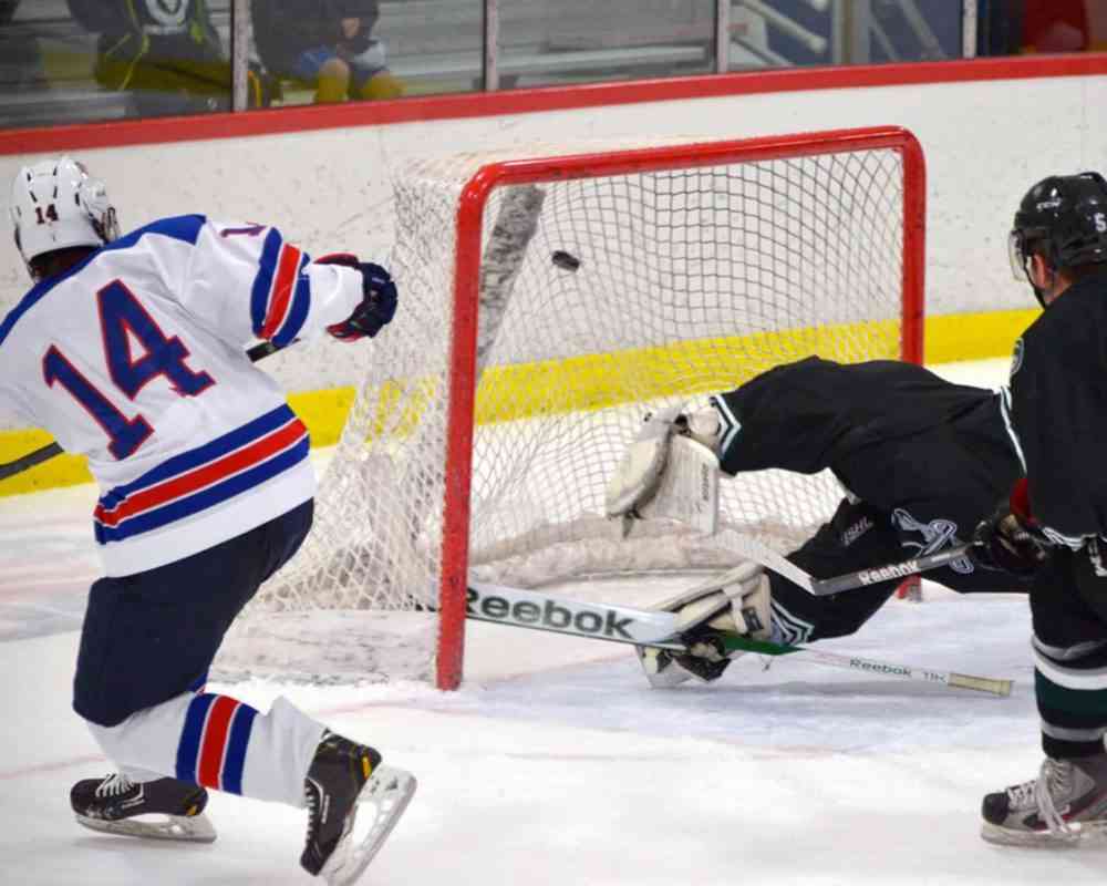 USAH Hockey IQ Training Program Hockey Sense USAH Hockey IQ Training Program Hockey Sense
