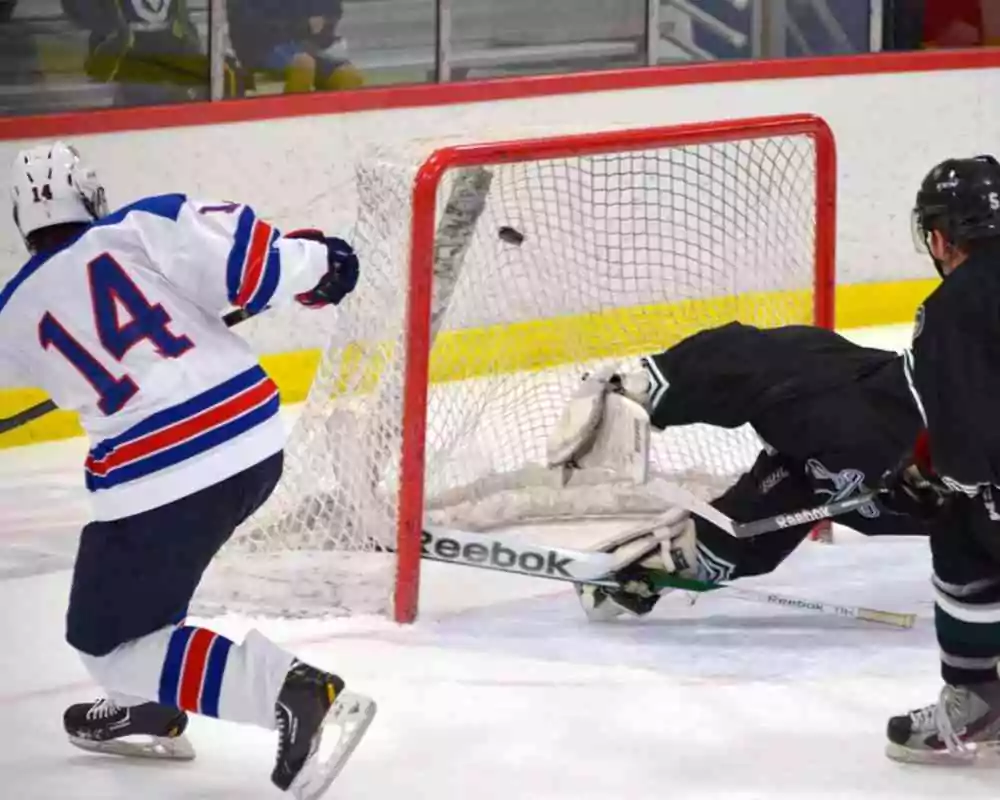 USAH Hockey IQ Training Program Hockey Sense
