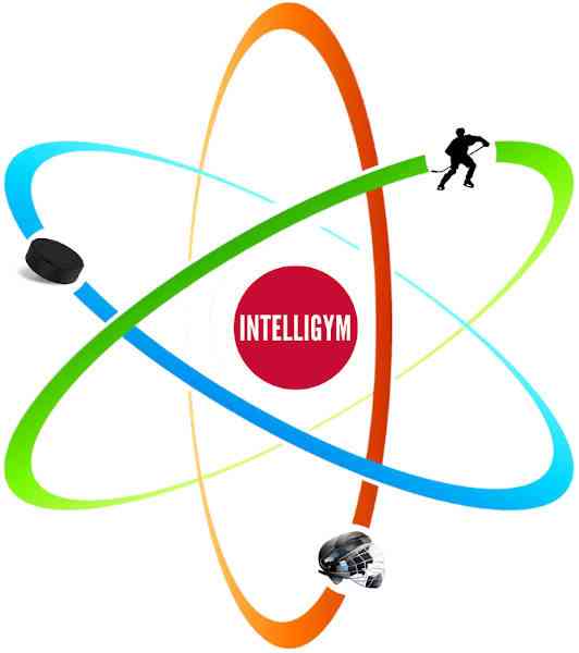 Safety-Science Hig-Sig